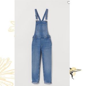 Denim Overalls